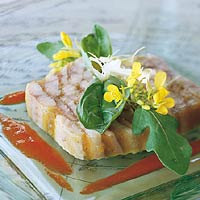 Terrine van gerookte paling en zalm met koriander mayonaise